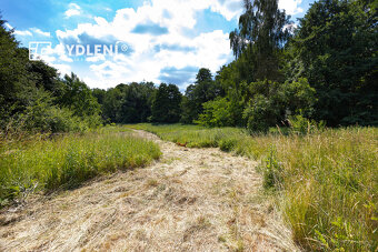 Prodej stavebních pozemků, Velemín - 5