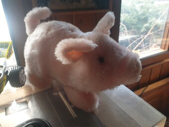 Dinosaur - svítilna, prase, autíčko dálka - 5