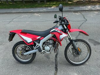 Gilera RCR 50 - 5