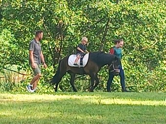 Pony kobylka - 5