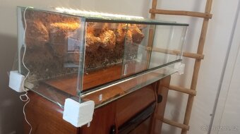 XXL terárium 100 cm v Top Stavu - 5