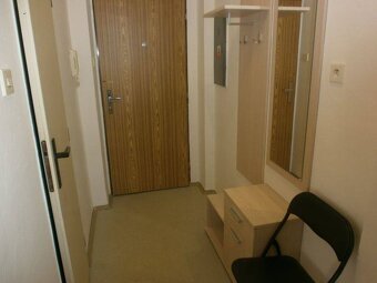 Jihlava - byt k pronájmu - 5