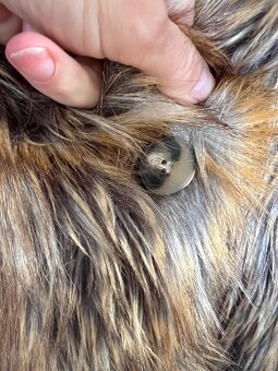 Nový luxusní kožich unisex Essentiel Antverp - 5