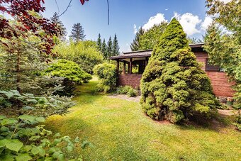 Chata k pronájmu u řeky Sázavy 30 minut z Prahy - 5