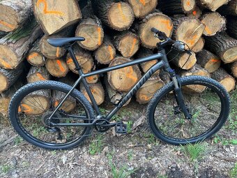 Specialized Rockhopper, XL, 29” - 5