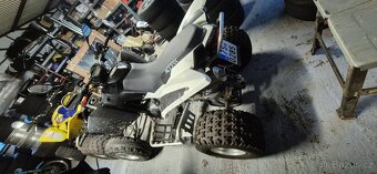 Access Tomahawk 300 - 5