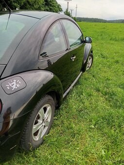 VW New Beetle - 5
