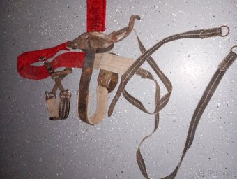 Postroj na sáňkování - 5