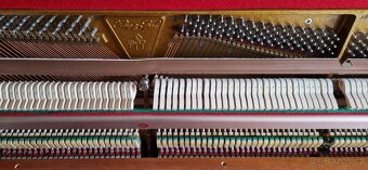 Piano Klug a Sperl - Bohemia - Třešeň r.v. 1996 - 5