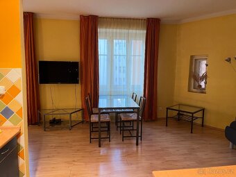Pronájem bytu 1+kk 50 m² (Jednopodlažní) - 5
