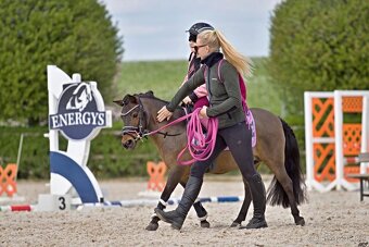 Shetland pony hřebeček - 5
