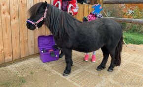 Ježdéní / Pony / školka - 5
