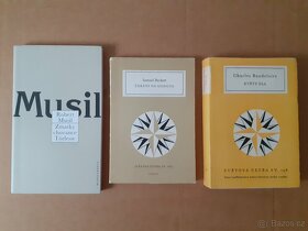 Musil + Strinberg + Klíma + Joyce + Puškin - 5