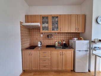 Pronájem garsonky - 5