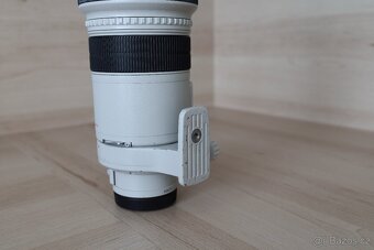 Canon EF 300mm f/2.8 L IS USM + Canon Extender EF 1.4x II - 5