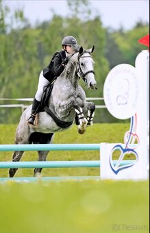 Klisna do sportu - 5