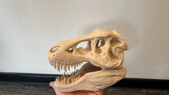 3d tisk hlava T-rexe Velka - 5