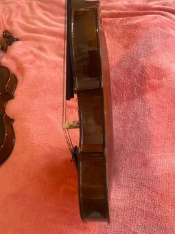 Violi - 5