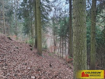 Letovice, lesní pozemky, 12 020 m2 – pozemek - 5