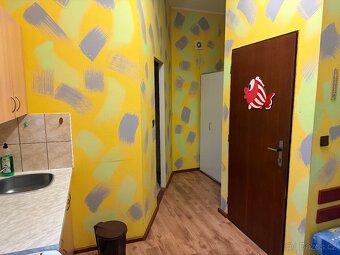 Garsonka v Desné k pronájmu - 5