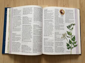 Kniha: Encyklopedie homeopatie - Lockie Andrew - 5