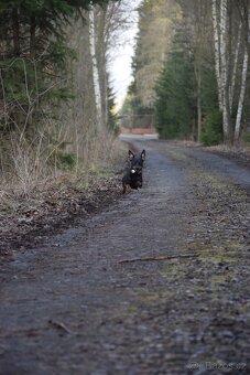 Nabídka ke krytí - 5