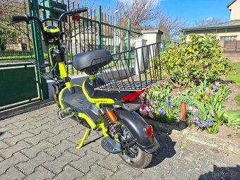 Sunra Sport SP - 5