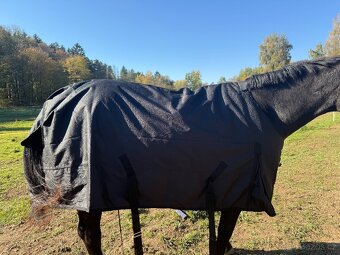 Výběhová deka - 5