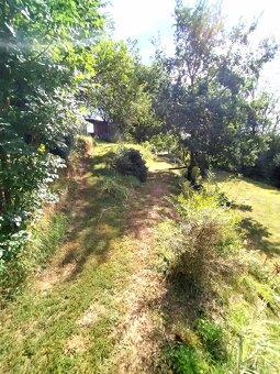 Zahrada  st.pozemek - 5