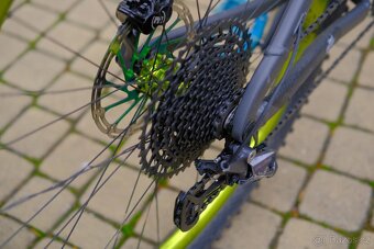 Dartmoor Primal 29 - 5