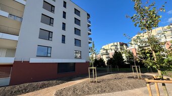 pronájem 1+kk Letňany - 5