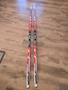 Atomic world cup skate 186cm,SNS - 5