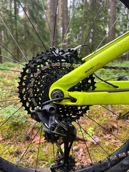 Trek Remedy 8 2020 - 5