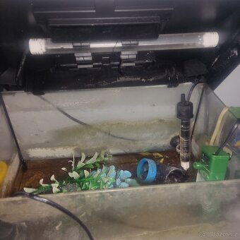 Prodám kompletní set akvárko se vším - 5