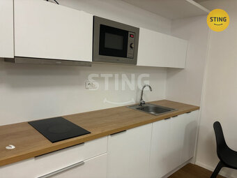 Pronájem bytu 1+kk 30m2, 133477 - 5