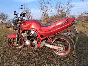 Suzuki bandit gsf 600 - 5