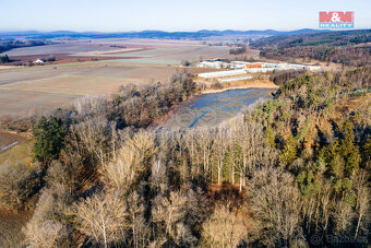 Prodej lesa, 685 m², Horšovský Týn - 5