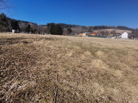 Šumava - Prodej pozemku k výstavbě chaty 650m2 v Sušici - 5