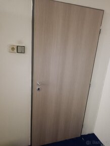 Dveře - 5
