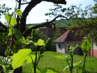 Pozemek ke stavbě RD Stříbrnice, okres Uherské Hradiště - 5