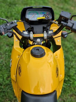Jawa Dandy 50 SPORT - 5