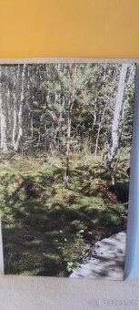 3 OBRAZY s místy známé ŠUMAVSKÉ KRAJINY - 5