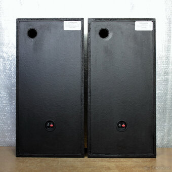 Reprobedny Pioneer. - 5