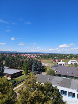 Pronájem bytu 2+1 ve Veselí nad Moravou - 5