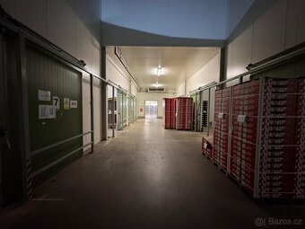 Pronájem skladovací haly s chladícím zařízením - 5