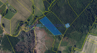 Prodej, les, 26720 m2, Rváčov u Hlinska - 5