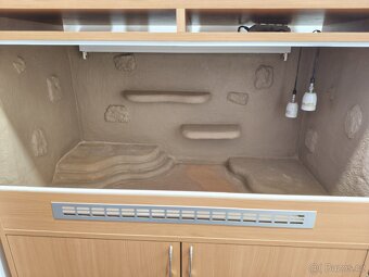 Terarium pro agamu vousatou - 5