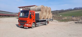 Nosič kontejnerů DAF - 5