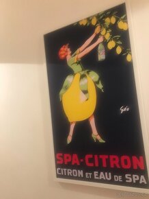 SPA Citron Plátno - 5