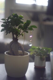 Helios 44-2 - 5